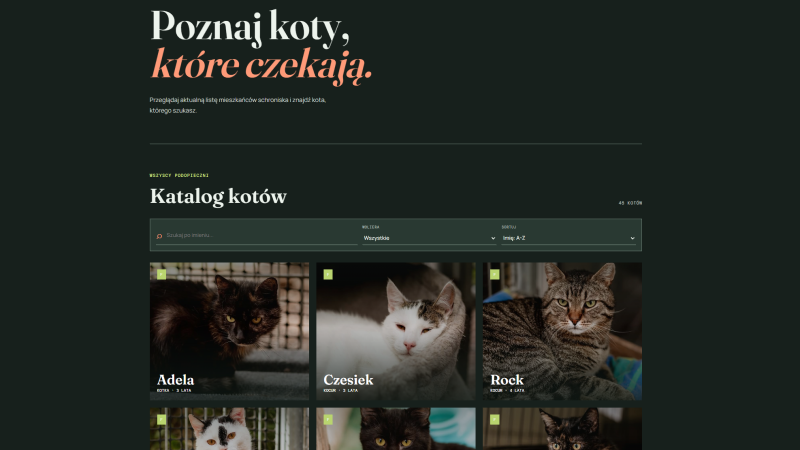Project image: Cat Shelter