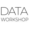 DataWorkshop logo
